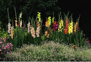 2D像素动作游戏《地狱之魂》免费万圣节更新上线 添加新可玩角色